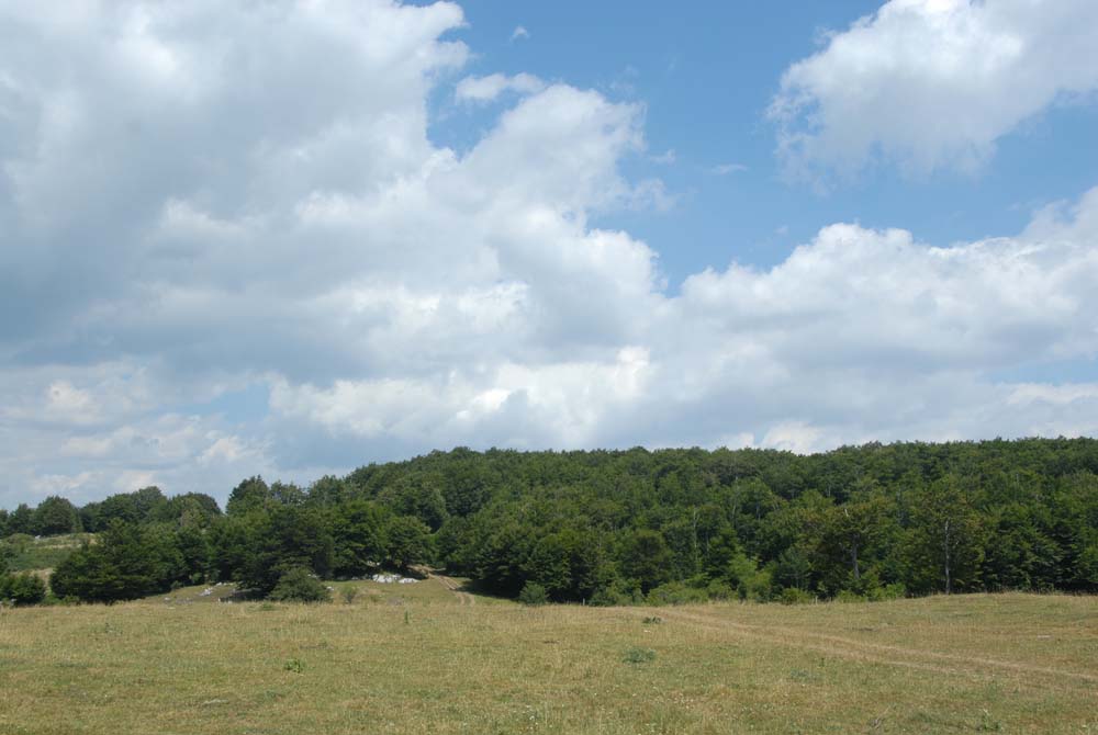 sopravvivenza 2008 - DSC_2954