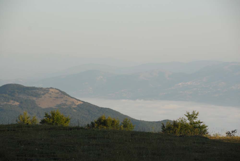 sopravvivenza 2008 - DSC_3023