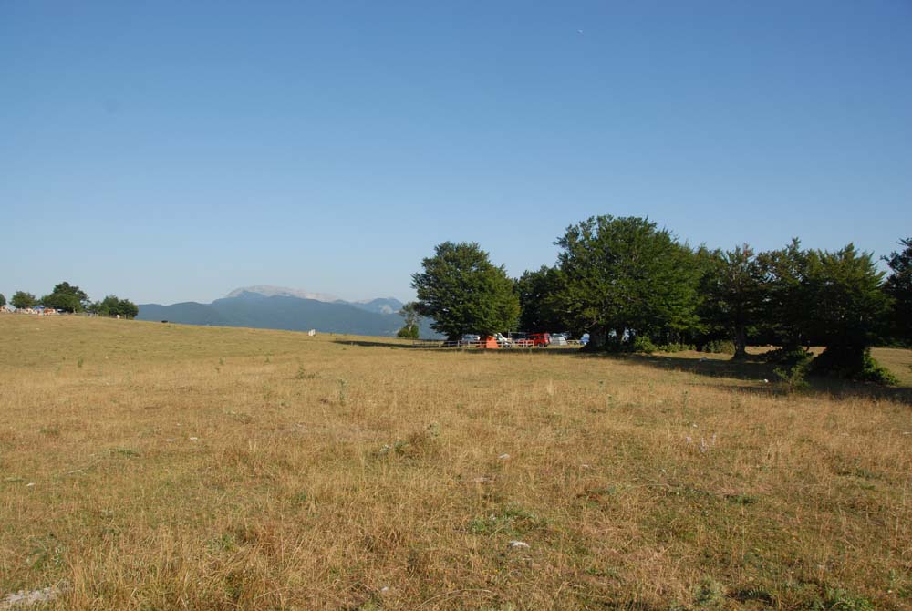 sopravvivenza 2008 - DSC_3026