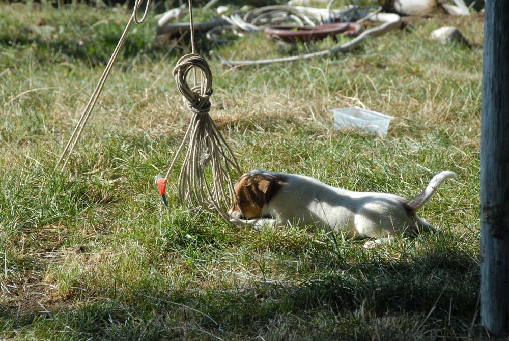 sopravvivenza 2008 - DSC_3035