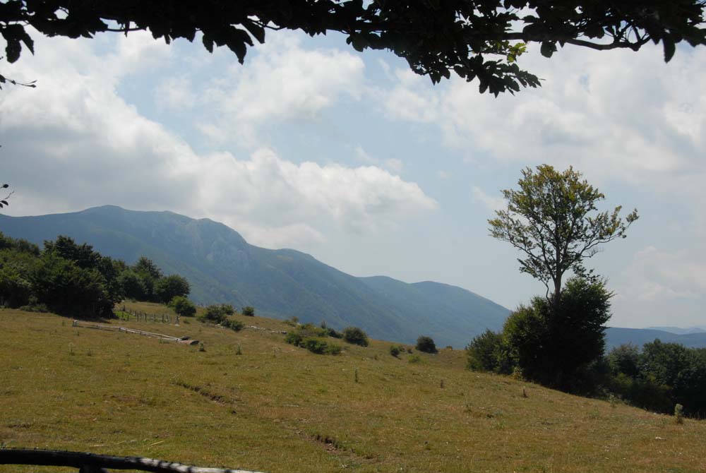 sopravvivenza 2008 - DSC_3073