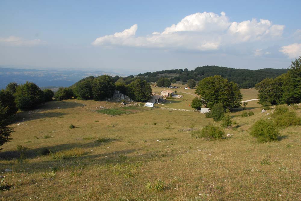 sopravvivenza 2008 - DSC_3086