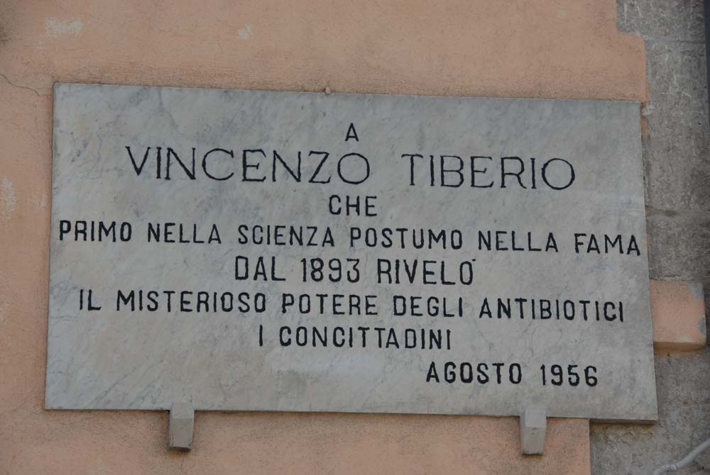 sopravvivenza 2008 - DSC_3107