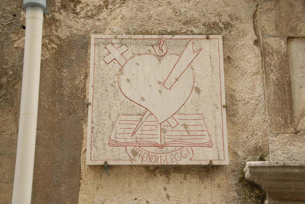 sopravvivenza 2008 - DSC_3142