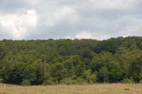 sopravvivenza 2008 - DSC_2949