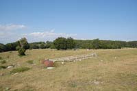 sopravvivenza 2008 - DSC_2997