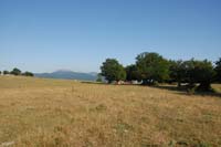 sopravvivenza 2008 - DSC_3026