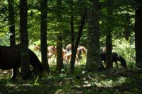 sopravvivenza 2008 - DSC_3123