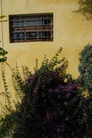 Velisti di mare e di terra 0134