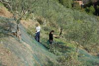 Velisti di mare e di terra 0146