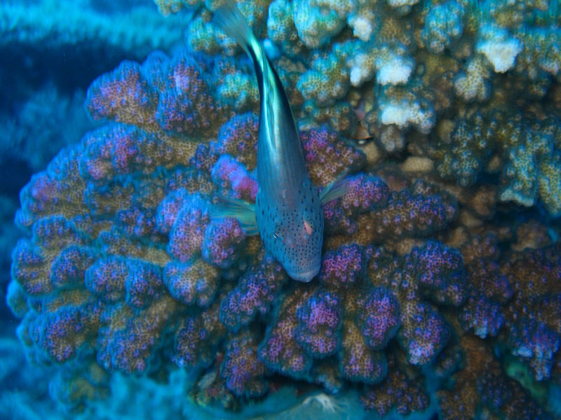 IMG_6545