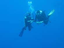 IMG_5557