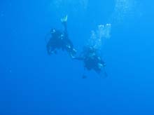 IMG_5778