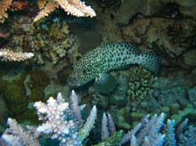 IMG_6406