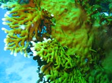 IMG_6729