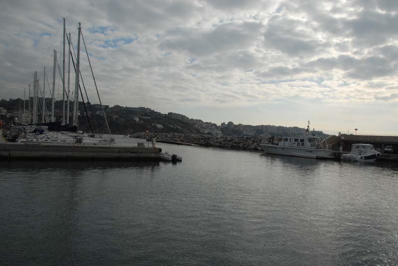 Elba - febbraio 2009 0005