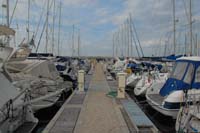 Elba - febbraio 2009 0003