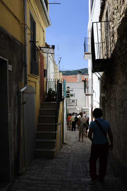 colletorto - ferragosto 2009 _DSC9696
