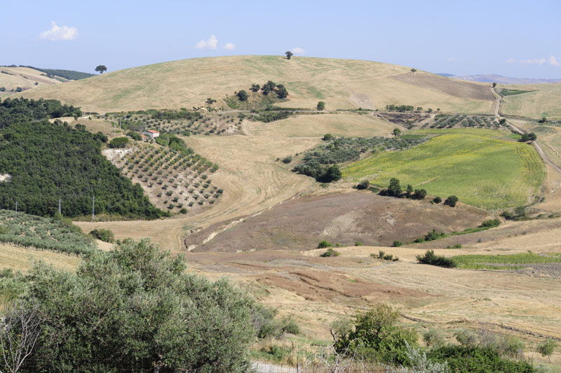 colletorto - ferragosto 2009 _DSC9741