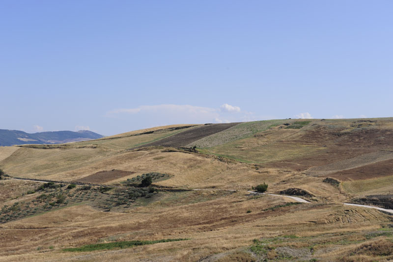 colletorto - ferragosto 2009 _DSC9747