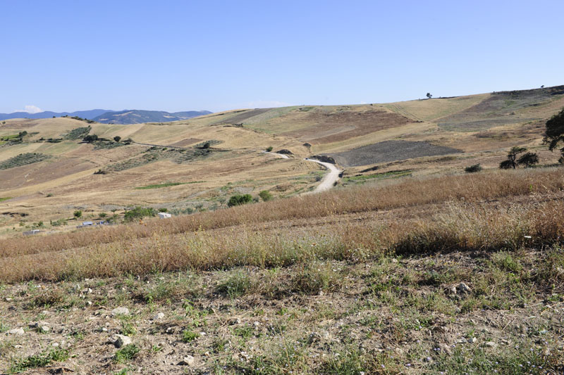 colletorto - ferragosto 2009 _DSC9772