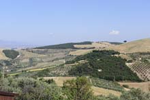 colletorto - ferragosto 2009 _DSC9746