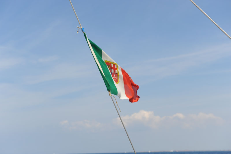 MLC_2462