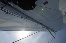 MLC_2386