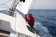 MLC_2442