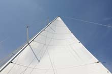 MLC_2445