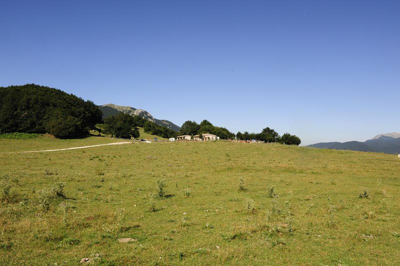 sopravvivenza in molise 2009 - foto 8172