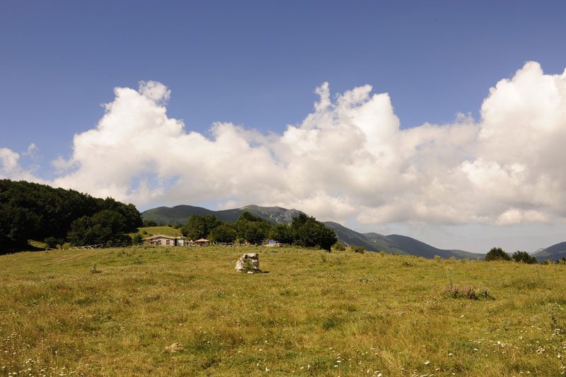 sopravvivenza in molise 2009 - foto 8248