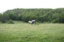 sopravvivenza in molise 2009 - foto 8156