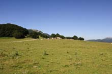 sopravvivenza in molise 2009 - foto 8172
