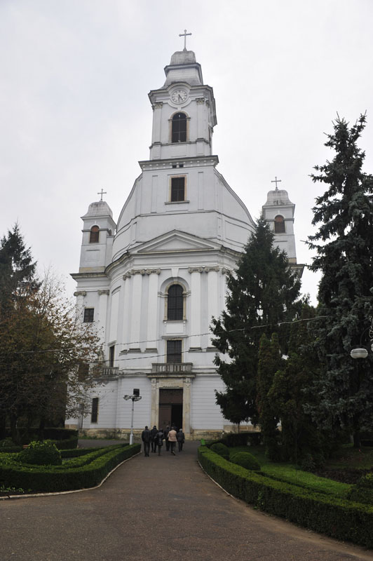 bucovina - rotary Cusago Visconteo 2010 - foto 0028