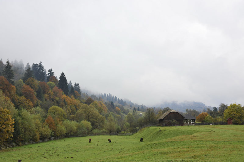 bucovina - rotary Cusago Visconteo 2010 - foto 0102
