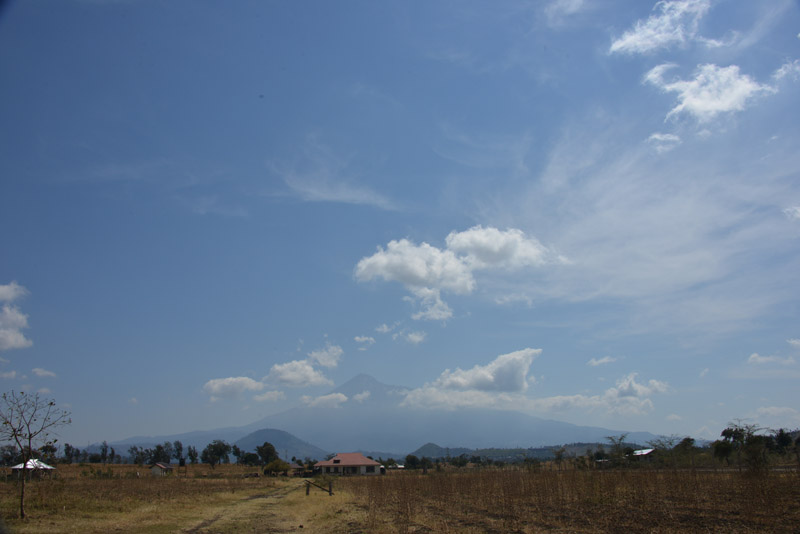ok DSC_2108