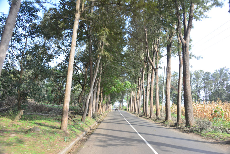 ok DSC_2591