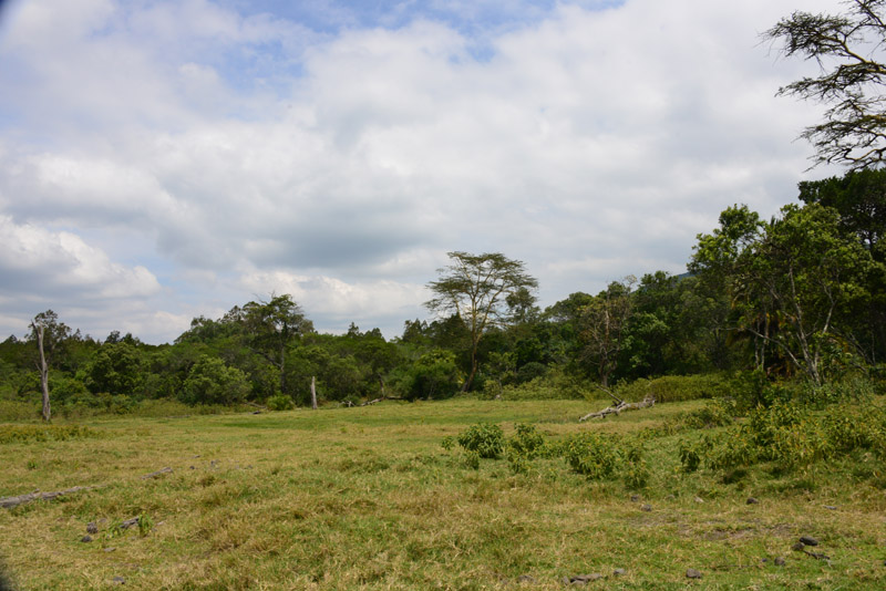 p DSC_2514