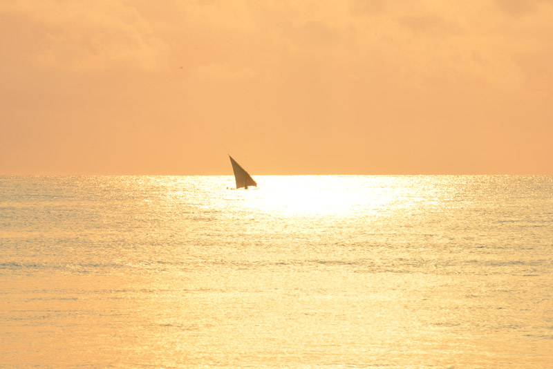 ok DSC_7746