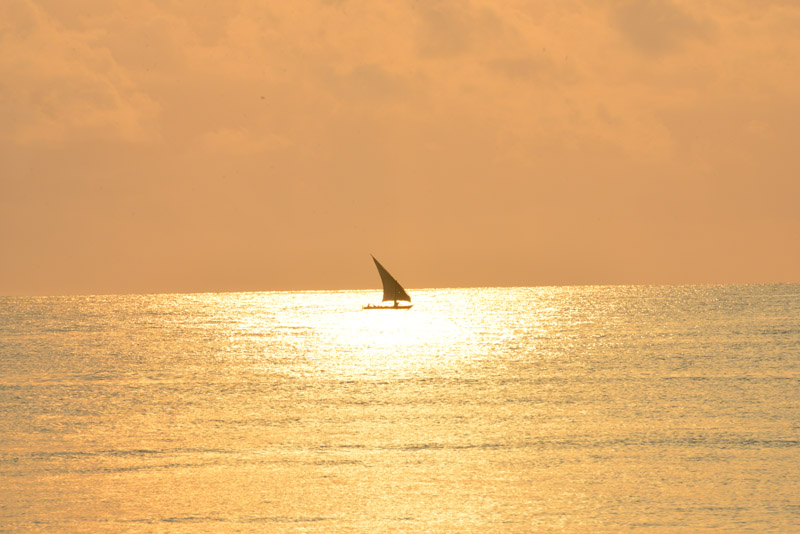 ok DSC_7750