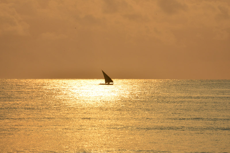 ok DSC_7752