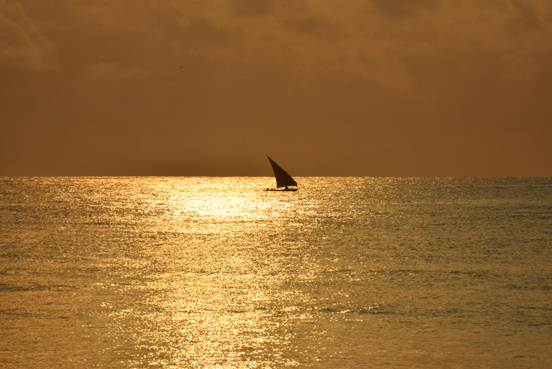 ok DSC_7755