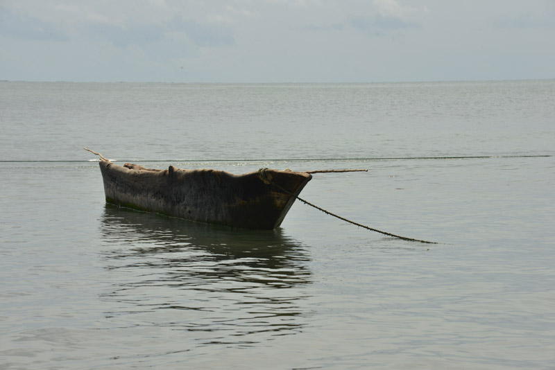 ok DSC_8785
