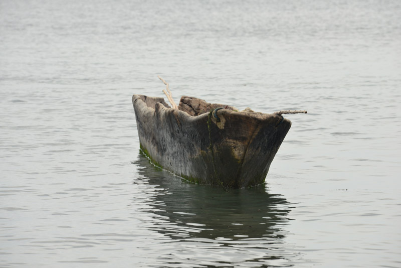 ok DSC_8835