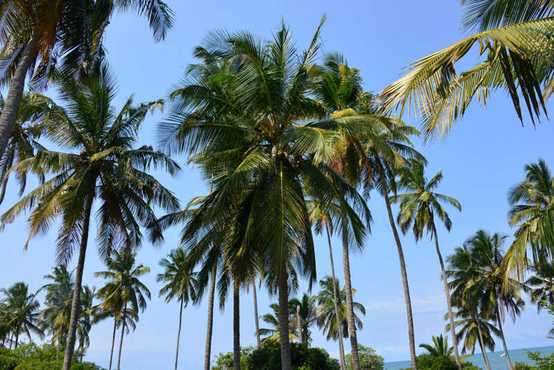 ok DSC_9089