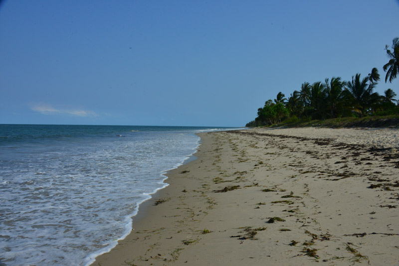ok DSC_9208