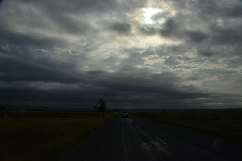 p DSC_7340