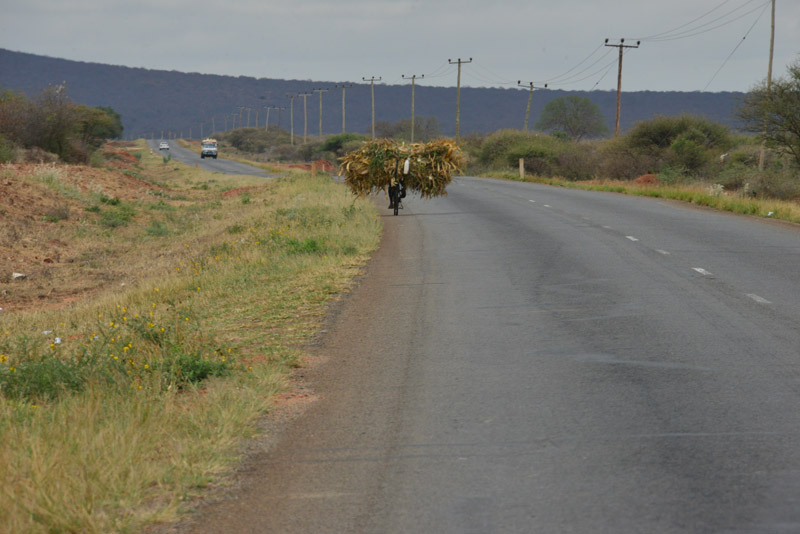p DSC_7344