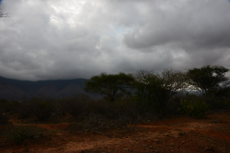 p DSC_7346